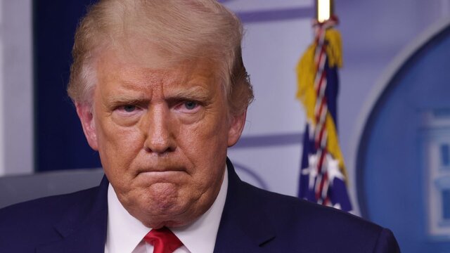 جنگ گربهها در سبد!