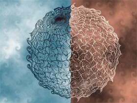 نسبت شریعت و عقلانیت در رویکردهای پیشرفتی ایران