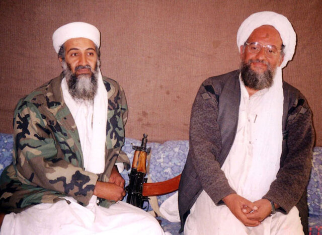 صدای زوزه گرگها