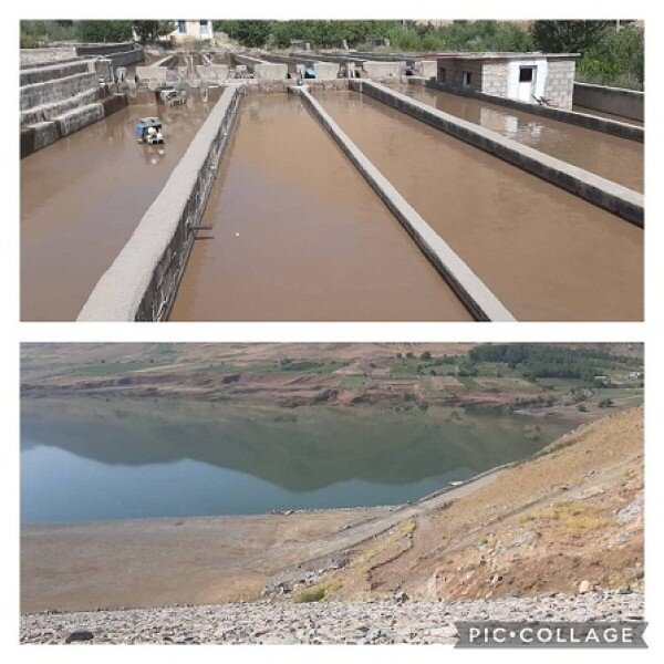 بیش از ۱۹۲ میلیارد تومان به زمینهای بروجرد خسارت وارد شد بیش از ۱۹۲ میلیارد تومان به زمینهای بروجرد خسارت وارد شد