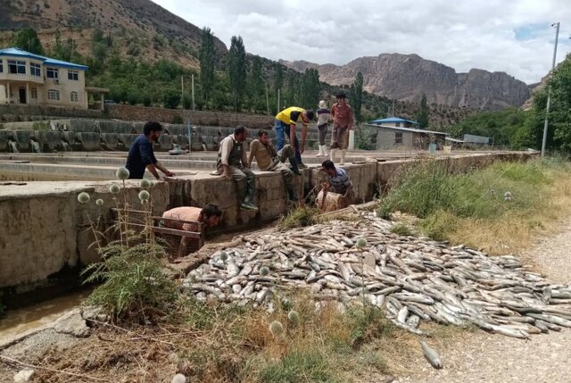 خسارت میلیاردی سیل به ۱۳ مزرعه پرورش ماهی در فارس