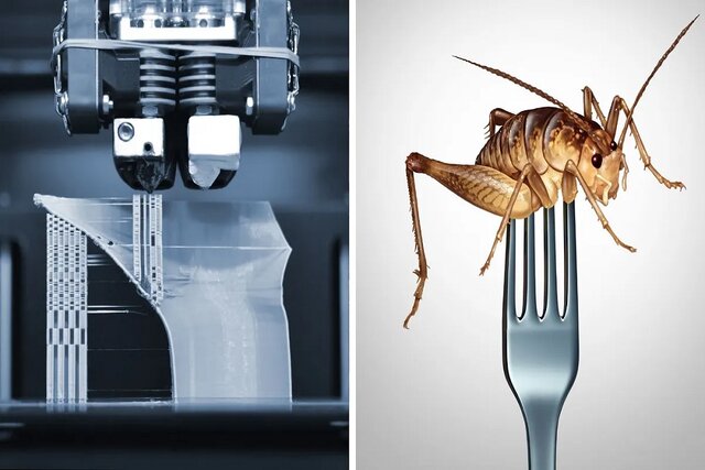 نجات از بحران غذایی با چاپ ۳ بعدی "حشرات"!
