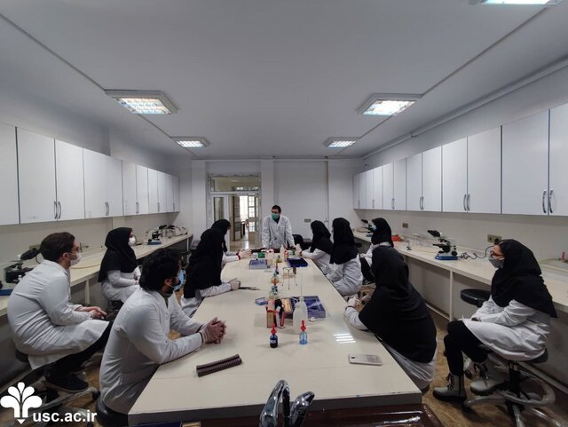 پویایی دانشجویی؛ کیفیت آموزشی در علم و فرهنگ