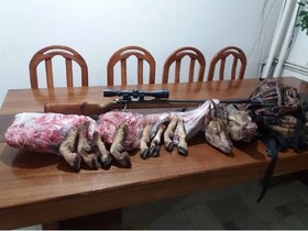 یک میلیارد و ۵۰۰ میلیون ریال جریمه برای شکارچیان بز وحشی در قروه