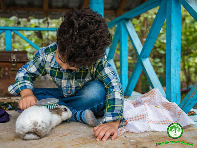 عکس تزئینیست طبیعت را جورِ دیگر باید دید