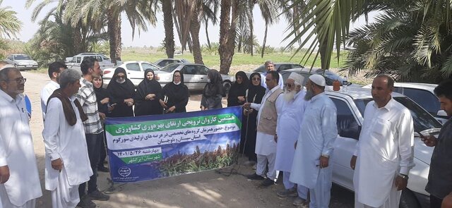 حرکت هشتمین کاروان ترویجی ارتقای بهره‌وری در ایرانشهر