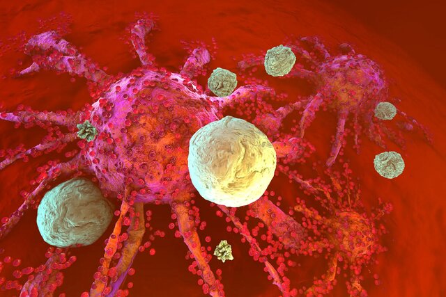 کشف راهی برای خستگی در کردن سلولهای ایمنی! کشف راهی برای خستگی در کردن سلولهای ایمنی!