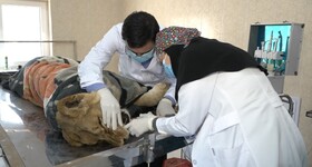 دوربین‌ها از اتاق عمل حیوانات گزارش می‌دهند