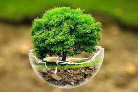 به کارگیری فناوری برای تربیت نیروهای منابع‌طبیعی