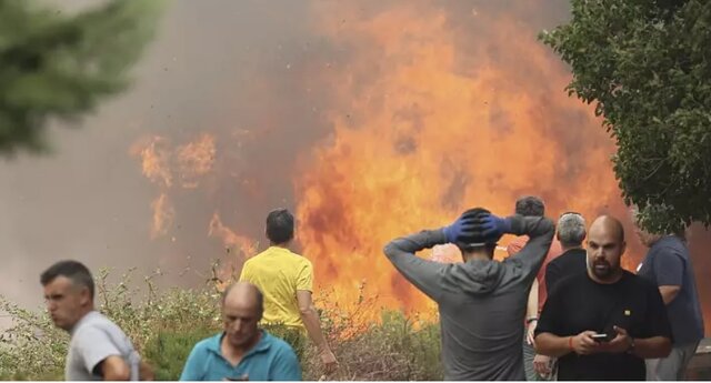 تشدید تغییرات اقلیمی به وقوع آتش سوزیهای جنگلی در جهان دامن زده است