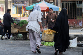 برداشت "خارک" و "رطب" در شادگان