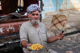 برداشت "خارک" و "رطب" در شادگان