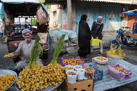 برداشت "خارک" و "رطب" در شادگان