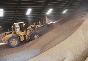 تصویب ۵۱۰ میلیون اعتبار برای تجهیز و تعمیر انبارهای مکانیزه تعاون روستایی خراسان شمالی