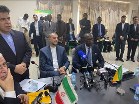 برگزاری نشست مشترک وزرای خارجه ایران و مالی با فعالین تجاری و بازرگانی