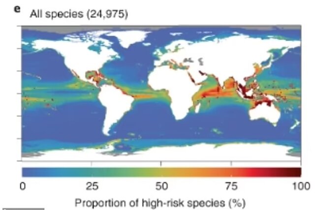 انقراض ۹۰ درصدی آبزیان تا پایان قرن حاضر!