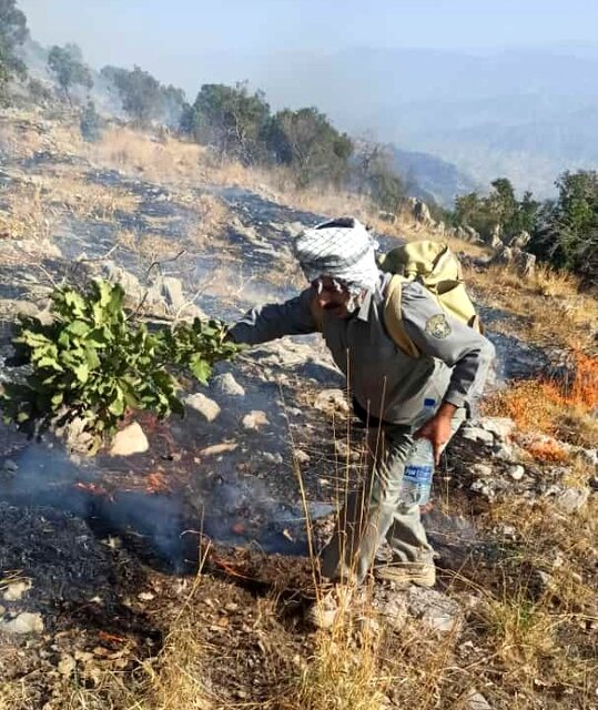 برآورد خسارت بیش از ۱۵۰هکتاری آتش سوزی جنگل‌های منطقه حفاظت شده خامی