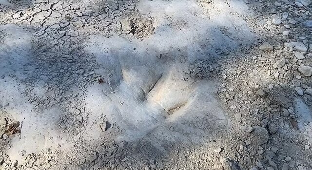 نمایان شدن یک ردپای ۱۱۳ میلیون ساله بر اثر خشکسالی!