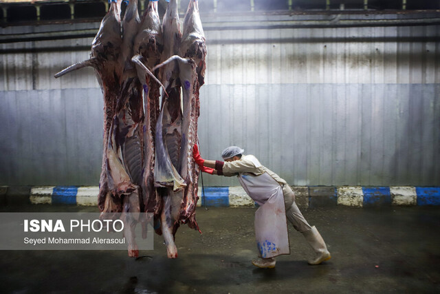 دستگاه‌های مسئول به وضع قیمت گوشت گوسفندی در قزوین توجه کنند