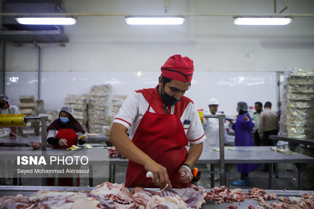 حفظ ذخایر ژنتیکی در گرو جلوگیری از کشتار دام مولد