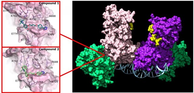 درمان سرطان خون با عوارض جانبی کمتر
