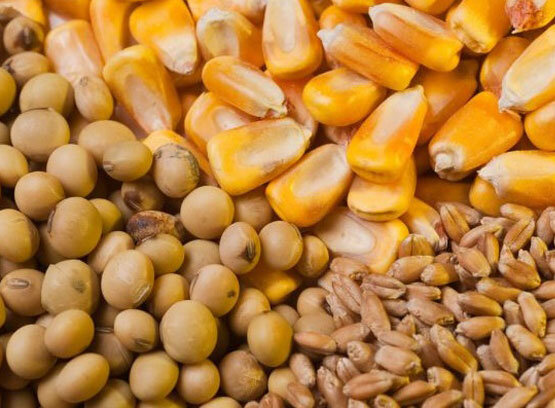 خلاصه مهمترین اخبار مجلس در ۲۴ مرداد؛ بررسیهای مربوط به احکام تکلیفی بودجهای