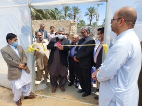 افتتاح ٢٧ واحد گلخانه در سیستان و بلوچستان