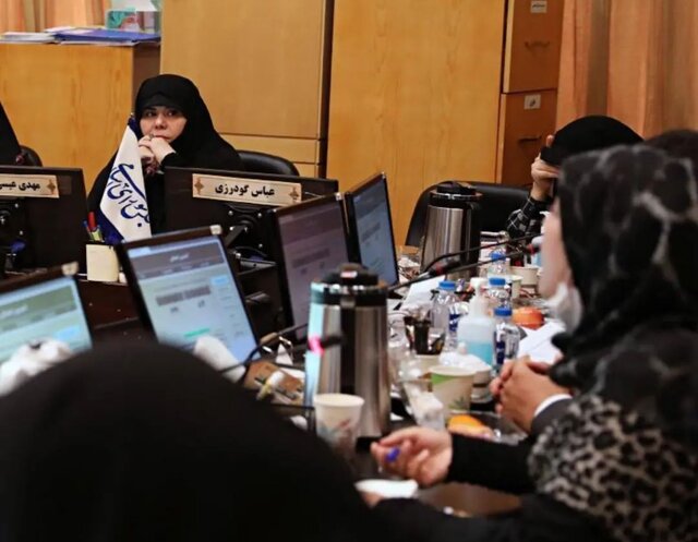 تاکید قاسمپور بر استفاده از ظرفیت زنان تحصیلکرده روستایی در برنامه هفتم توسعه تاکید قاسمپور بر استفاده از ظرفیت زنان تحصیلکرده روستایی در برنامه هفتم توسعه