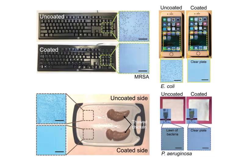 نابودی تمام ویروسها و باکتریها با روغن چای و دارچین!
