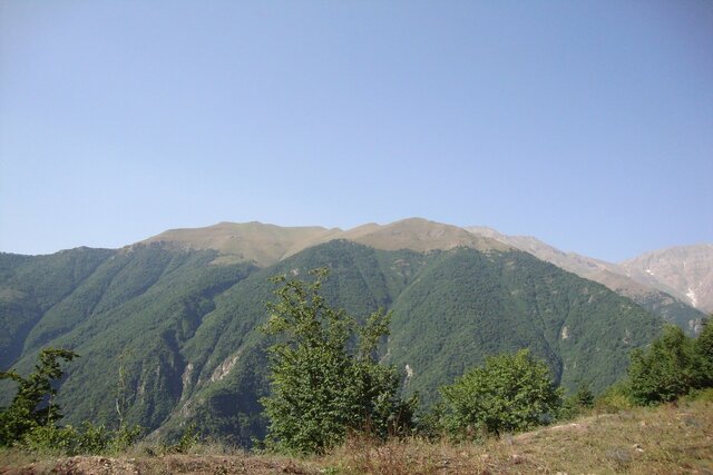 اثبات حضور کردستان و لرستان در کنار مراکز اهلیسازی سیب در دنیا/ اهلی شدن بُز در زاگرس ایران