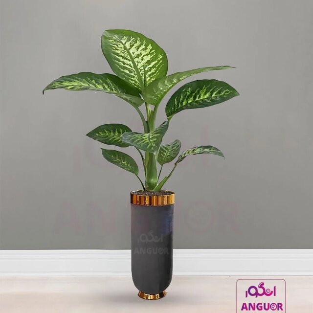 در چه مناسبتهایی میتوان گل هدیه داد؟