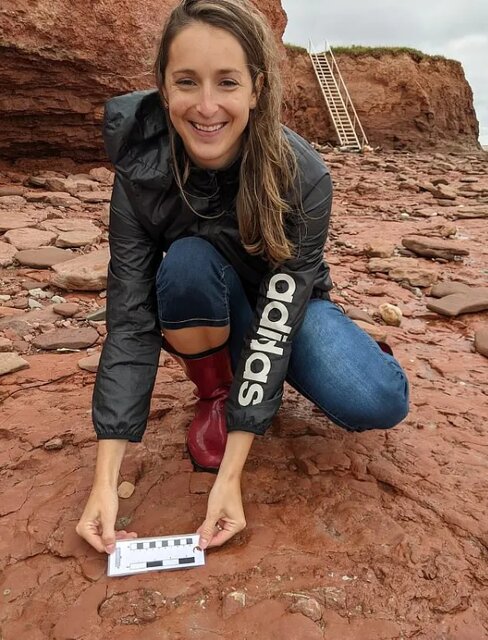 کشف فسیل جانوری ناشناخته قدیمیتر از دایناسورها!