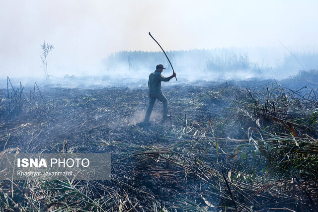 تکرار تراژدی آتش در تالاب انزلی