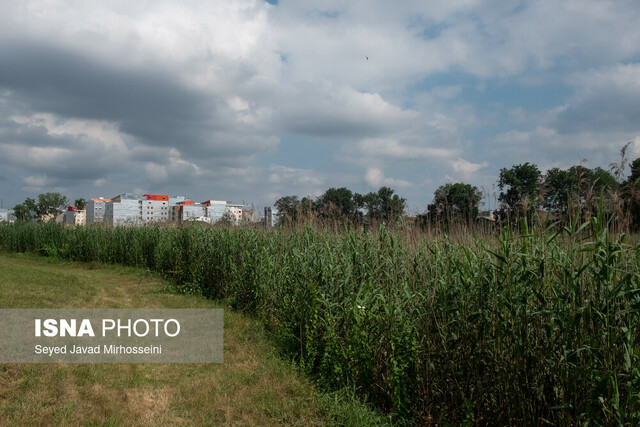 عکس تزئینی و آرشیوی است پایان عملیات فنی طرح تعیین حرایم گسلی شهر رشت