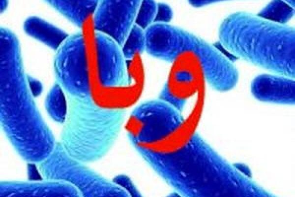 علائم وبا را بشناسید - ایسنا