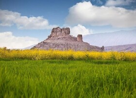 یگانه باغ شهر هرمزگان را دریابید