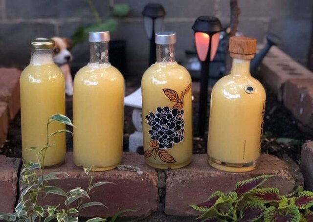 عکس تزئینی است شناسایی کارگاه غیربهداشتی تولید آبلیمو در غرب تهران