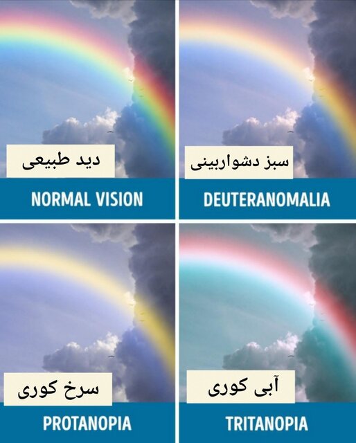 برای مبتلایان به کوررنگی، رنگینکمان هفترنگ نیست