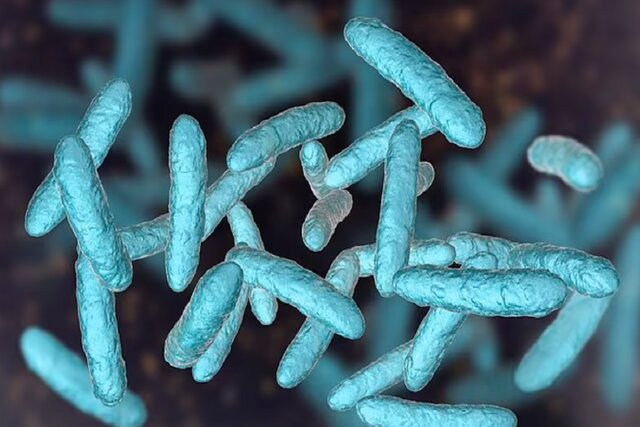 ساخت نخستین نمونه میکروبیوم انسانی در آزمایشگاه