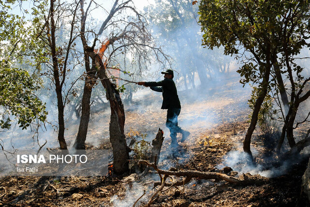 عکس آرشیوی و تزئینی است. وقوع حریق در اراضی جنگلی ۷ شهرستانِ گیلان