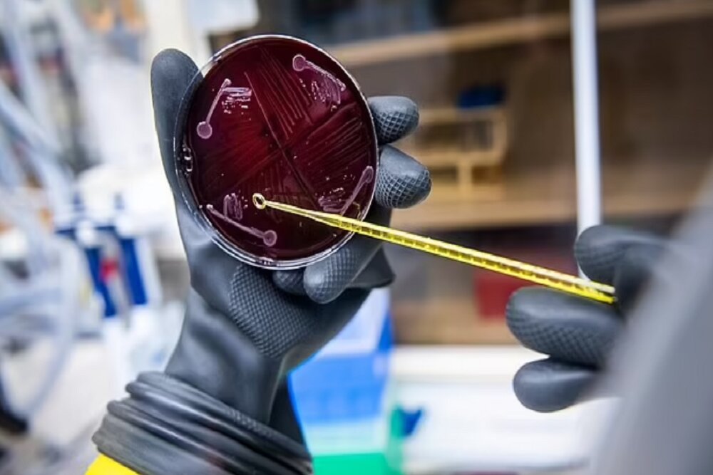 ساخت نخستین نمونه میکروبیوم انسانی در آزمایشگاه