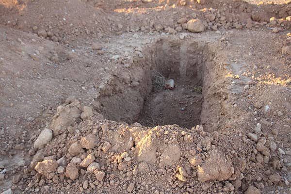 وضعیت اسفناک کاخ ساسانی