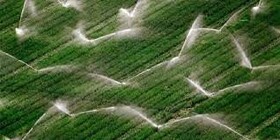 ۲۰۰۰ هکتار از اراضی کشاورزی خراسان شمالی زیر پوشش آبیاری نوین می‌رود