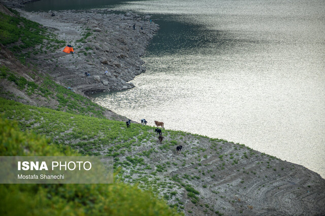 سقوط ذخیره سدهای مازندران
