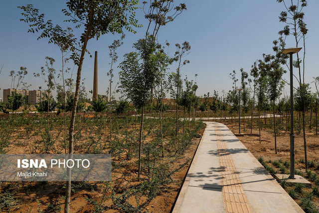 عکس تزئینی است. توسعه تفرجگاه مسگرآباد