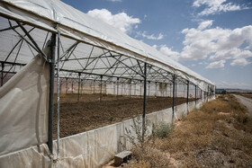 بادخیز بودن این منطقه باعث شده طی سال‌های گذشته تاسسیات کشاورزان دچار آسیب‌های متعدد شود