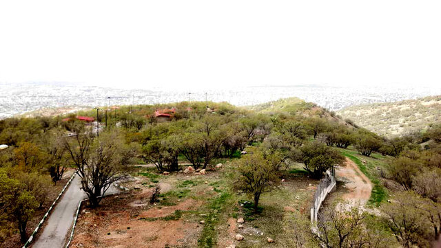 عاقبت تلخ سرمایهگذار پارک جنگلی یاسوج