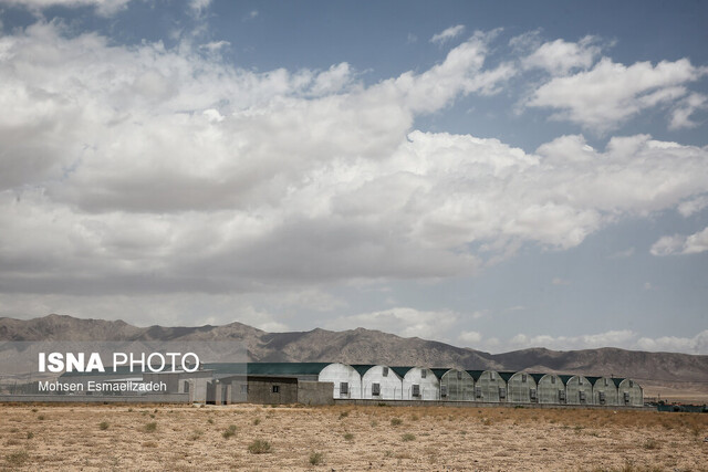 عکس: آرشیو گازرسانی به «شهرک گلخانهای نودهک» تاکستان اواخر مرداد انجام میشود