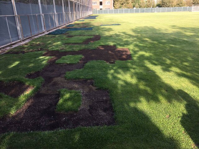 اولین تمرین ایران با کیروش در میان استقبال شدید اصحاب رسانه