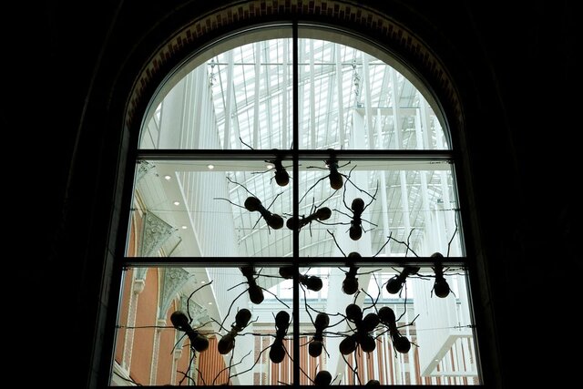 تصاویری از حمله مورچههای غولپیکر به موزه آمستردام